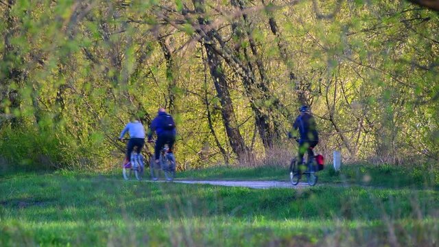 Warszawa odpoczynek w parku nad Wisłą. Spacer, bieganie i jazda na rowerze.
