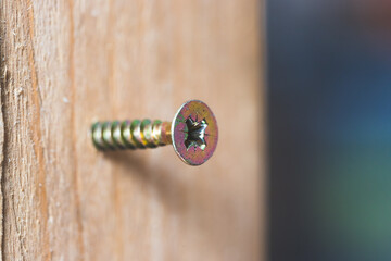 Do it yourself: Macro closeup of screw in timber, outdoors