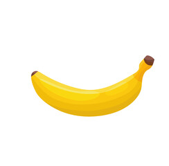 beautiful bright color illustration of fruit on the background