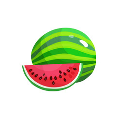 beautiful bright color illustration of fruit on the background