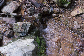 Spring water of Mt. Kurama, Kurama, Sakyo-ku, Kyoto City, Kyoto Prefecture.