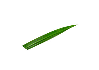 Fresh green pandanus leaves isolated on white background. Thai herbal. Top view. Flat lay with clipping paths