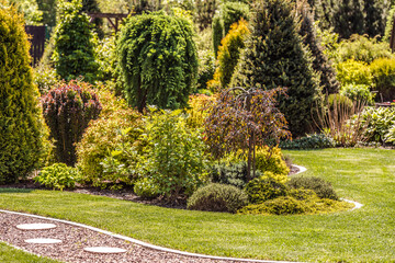 Mature Backyard Garden During Summer Day