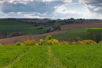 Obraz premium A dramatic cloudscape above the rolling hills in the South of Limburg in the Netherlands. The colourful landscape is split by winding roads and small paths.
