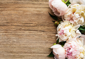 Pink peony flowers as a border