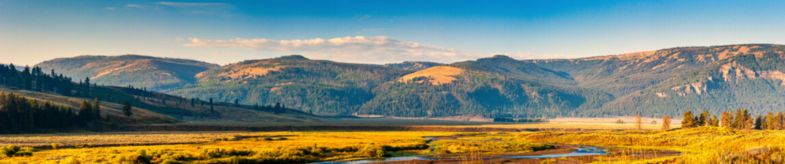The Lamar River in Lamar Valley in Yellowstone National Park - obrazy, fototapety, plakaty