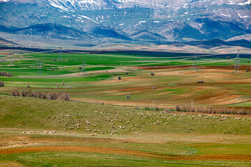 the fertile lands of Anatolia that awaken to spring