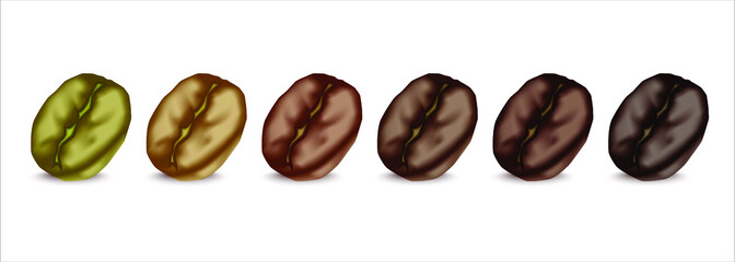 Coffee beans realistic set showing various stages of roasting. Vector illustration isolated on white background.