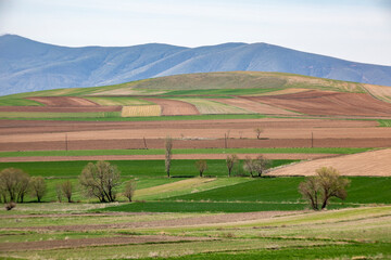 Fototapeta na wymiar the fertile lands of Anatolia that awaken to spring