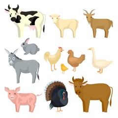 Set farm animals isolated on white background. Different kind animal,cow, bull, sheep, goat, rabbit, donkey, pig, hen, duck, rooster, chick, turkey.