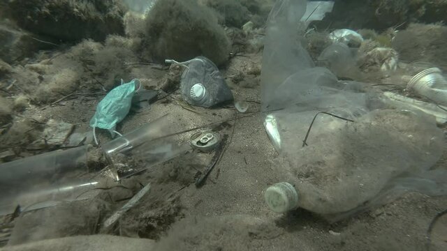Dead Greater weever fish (Trachinus draco) hitting trapped in plastic bag lies inside plastic bag on the seabed among the medical face mask, plastic and other garbage. Plastic pollution of Ocean.  