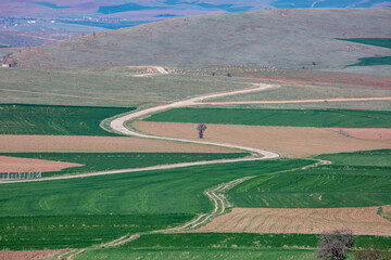 the fertile lands of Anatolia that awaken to spring