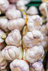 Garlic put up for sale in a grocery store