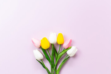 Tulip flower on a pink background. tulips blossom. Top view and copy space. Flat lay. Spring floral background