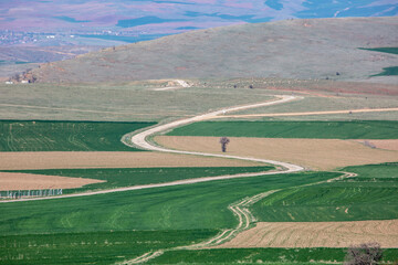the fertile lands of Anatolia that awaken to spring