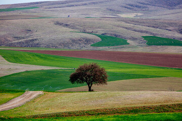 the fertile lands of Anatolia that awaken to spring