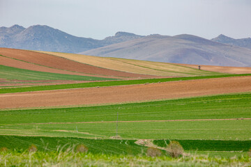 the fertile lands of Anatolia that awaken to spring
