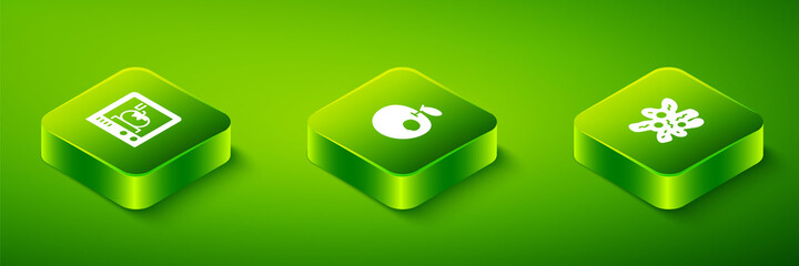 Set Isometric Genetically modified apple, Cell and 3D printing technology icon. Vector