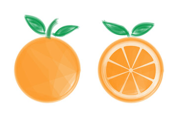 Orange fruits on a white background. vector illustration