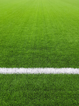 a fragment of a football field with an artificial grass with a drawn white line, source or wallpaper
