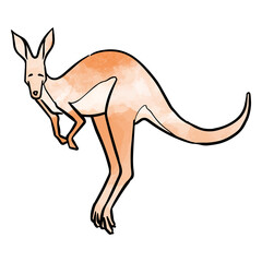 Hand drawn jumping kangaroo watercolor vector illustration