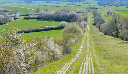 Kolonnenweg im Todesstreifen, Point Alpha, Rhön