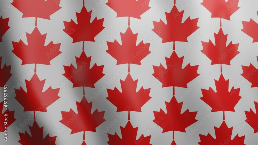 Poster loop animated pattern with red canadian maple leaves. waving geometric motion graphic background