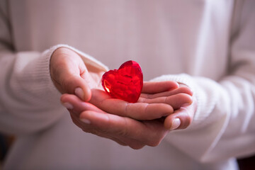 hands female giving red heart
