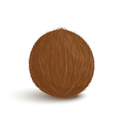 Coconut whole fruit. Vector flat illustration isolated on white background