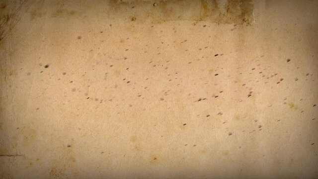 A vintage element backdrop for your footage: an aged paper sheet, with flying dust particles in front of it.
