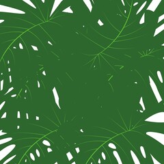 swiss cheese plant leaves abstract design