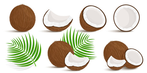Set of exotic whole, half, cut pieces of coconut fruit and palm leaves isolated on white background. Summer fruits for a healthy lifestyle. Organic fruits. Cartoon style. Vector illustration - obrazy, fototapety, plakaty