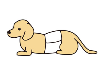 椎間板ヘルニア　コルセット　ダックスフンド