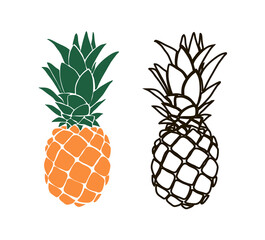 Pineapple illustration set