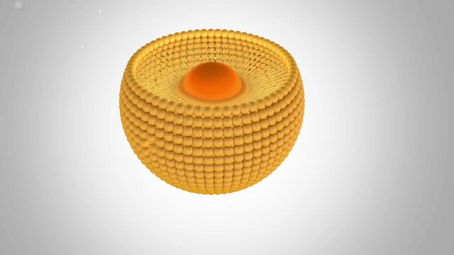 Structure of liposome, phospholipid, cell, 3d render animation. 3D Render video