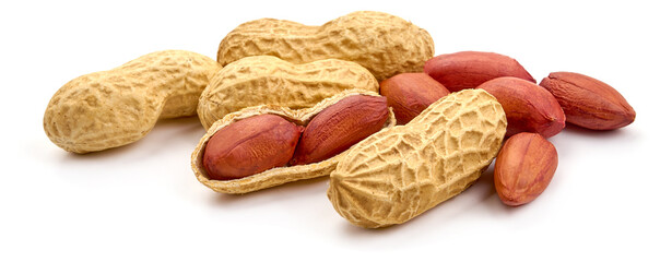 Peanut, isolated on white background. High resolution image