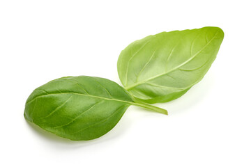 Fresh organic basil leaves, close-up, isolated on white background. High resolution image - obrazy, fototapety, plakaty