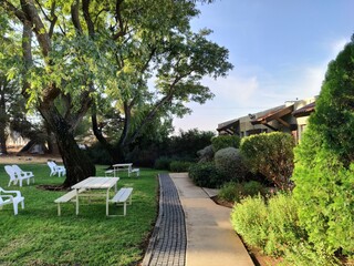 garden in the garden