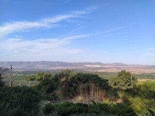 view to a meadow