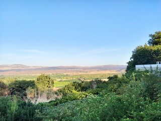 view to a meadow