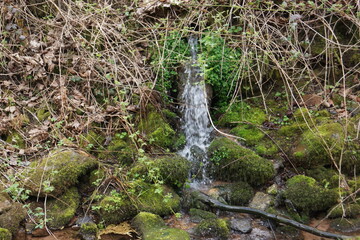 nature,water,fire and many more