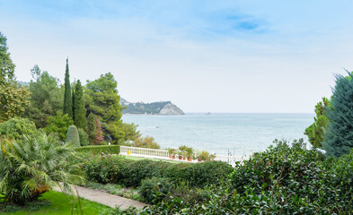 A beautiful view of the landscape park with many rare and relict evergreens on the Black Sea coast. Cypresses, cedars and many flowering trees in the Aivazovsky Park in Crimea.  Overlooking the sea.