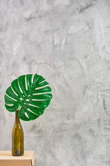 Gray neutral background, vertical frame, Monstéra leaf on a cardboard table in a bottle, selective focus.