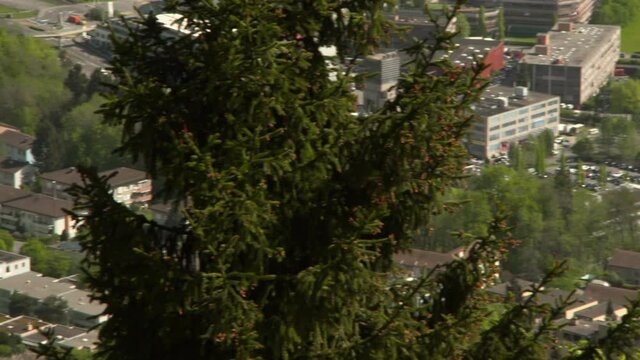 Adliswil Bilder Durchsuchen 241 Archivfotos, und