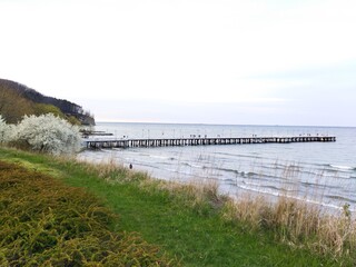 Molo i klif w Gdyni 