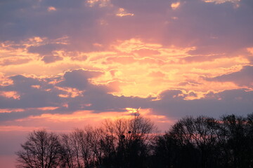 Fototapeta na wymiar Sonnenaufgang im Drömling