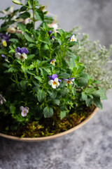 Easter floral composition