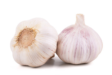 Garlic isolated on white background close op