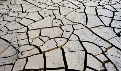 Drying soil - the bottom of the former river.