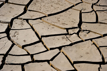 Drying soil - the bottom of the former river.